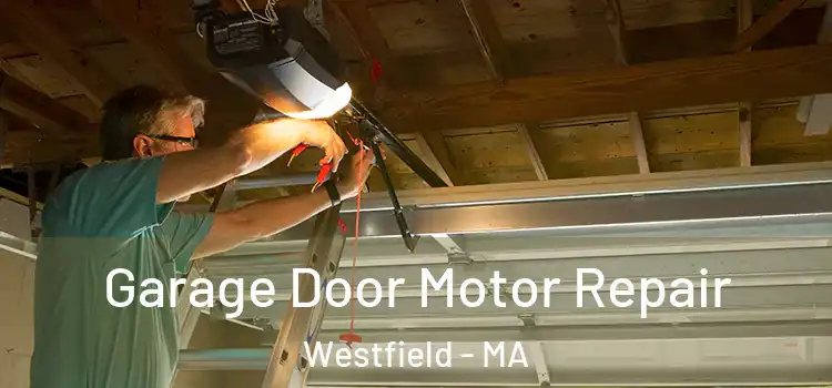  Garage Door Motor Repair Westfield - MA