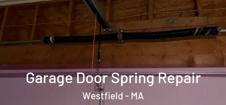  Garage Door Spring Repair Westfield - MA